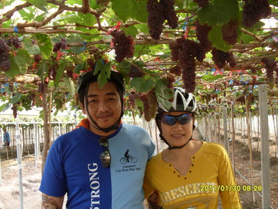 SDC10336.jpg