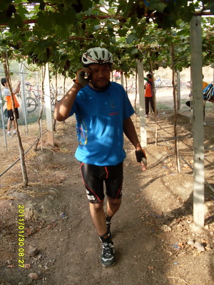 SDC10332.jpg