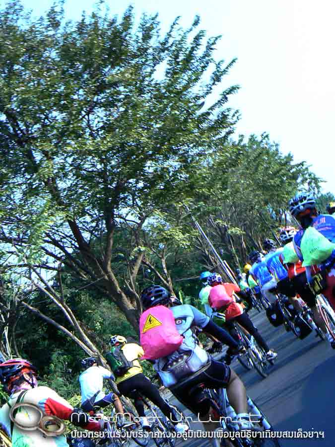 lowres_P1090584.jpg