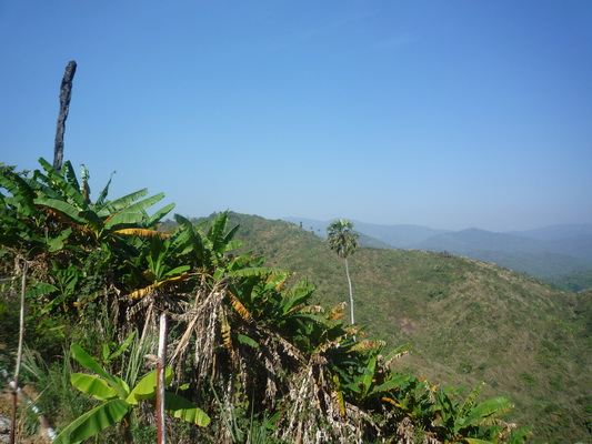 P1090900_resize.JPG