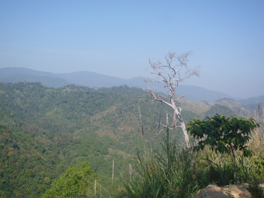 P1090919_resize.JPG