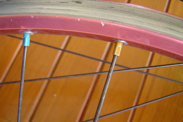Image00005.jpg
