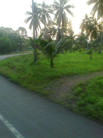 ภาพถ่าย0240.jpg
