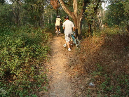 DSC09696.JPG