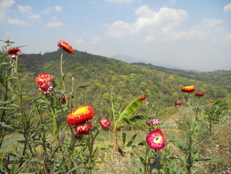 DSCN0107.jpg