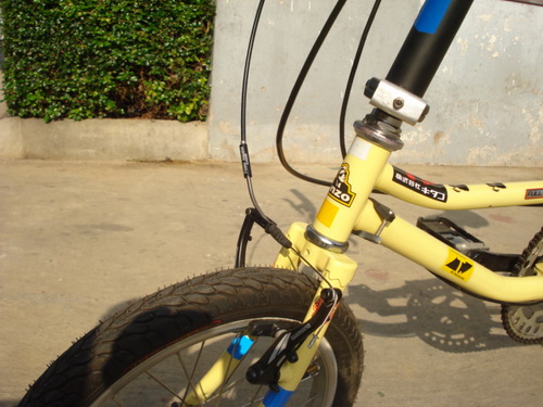 DSC01440_resize.JPG