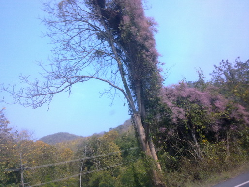 120220112498_resize.jpg