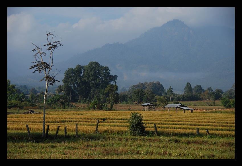 DSC_5608.jpg