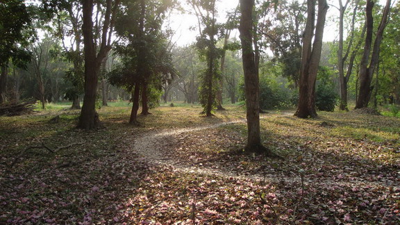 DSC08003_resize_resize.JPG