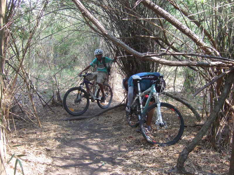 DSCF6767.JPG