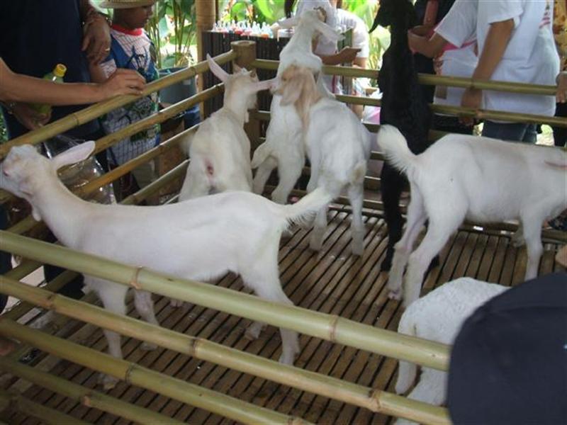 DSCF1311 (Medium).JPG