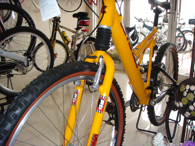 DSC08108.JPG