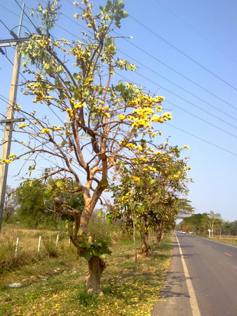 270220112969_resize.jpg