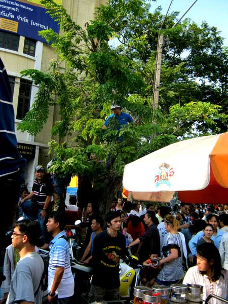 119.jpg