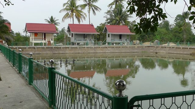 L1020162_tn.jpg