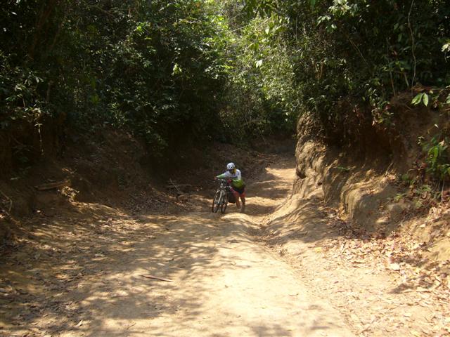 P1120333.JPG