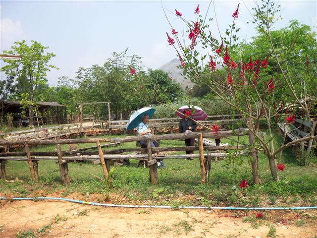 ...ลานพบปะสังสรรค์...