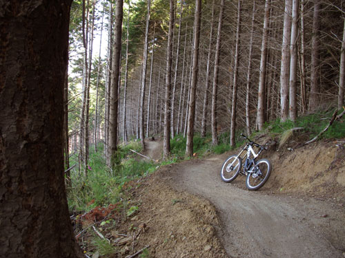 Trail.jpg