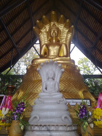 120320113125_resize.jpg