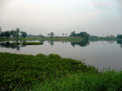 P1120631.JPG