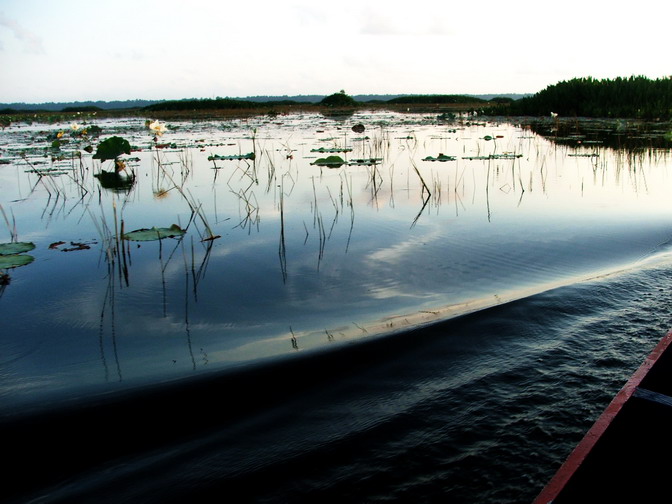 DSCF9180.jpg