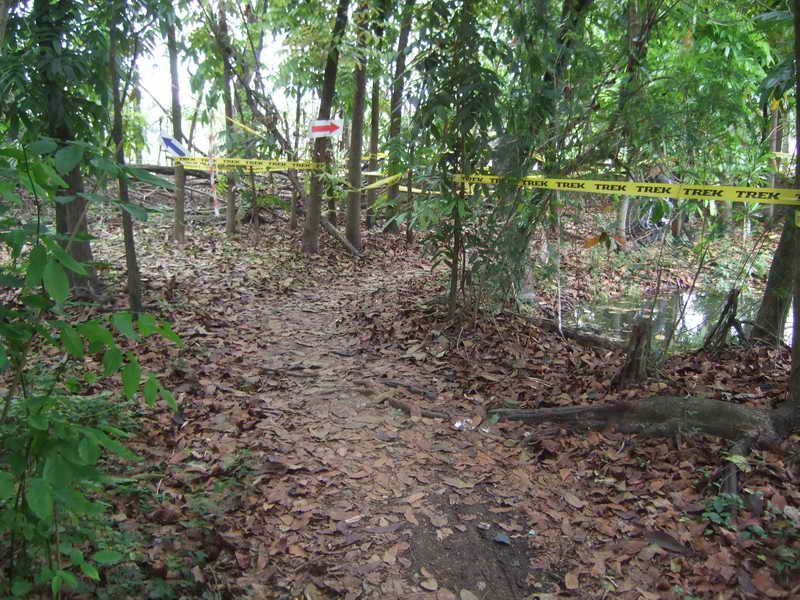 DSCF8378.JPG