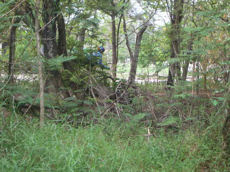 DSCF8424.JPG
