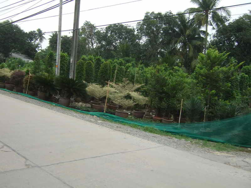 DSCF8624.JPG