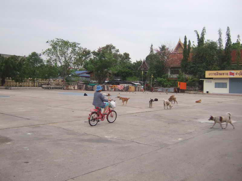 DSCF8298.JPG
