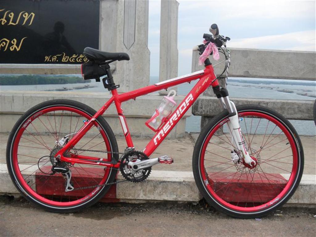 SAM_1901 (Medium) (Large).JPG