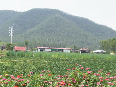 RIMG0514_resize_resize.JPG
