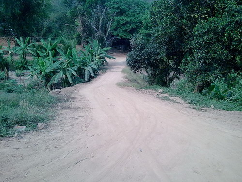 050420115853.jpg