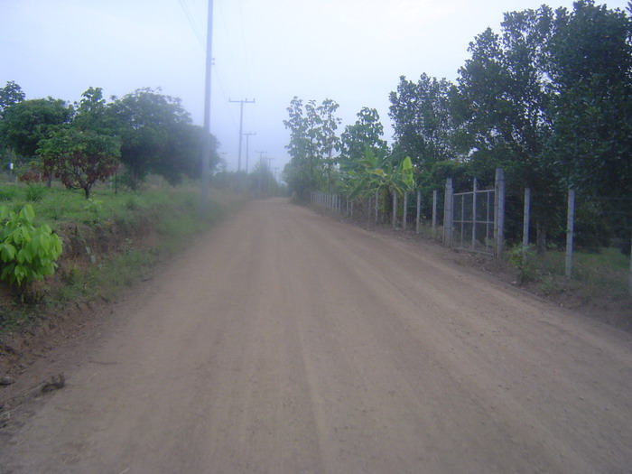 DSC02225.jpg