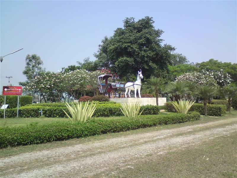 DSC05206 (Large) (Medium).JPG