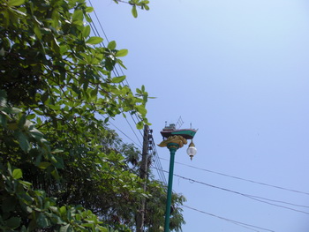 CIMG6041.jpg