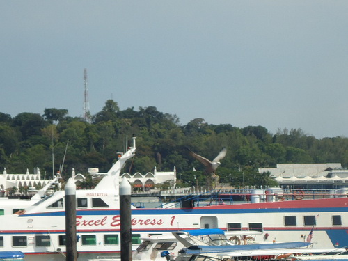 DSC01760.jpg