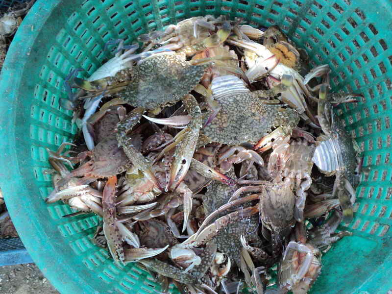 DSC01863_resize.JPG