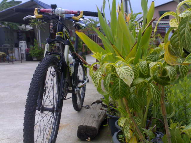 100520114280.jpg