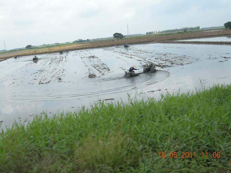 DSCN6643.jpg