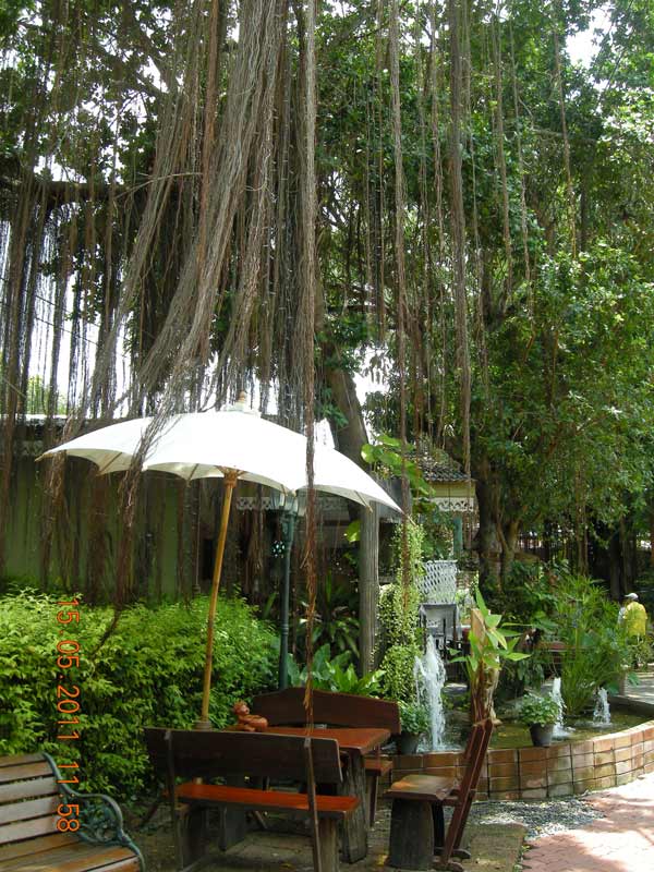 DSCN6675.jpg