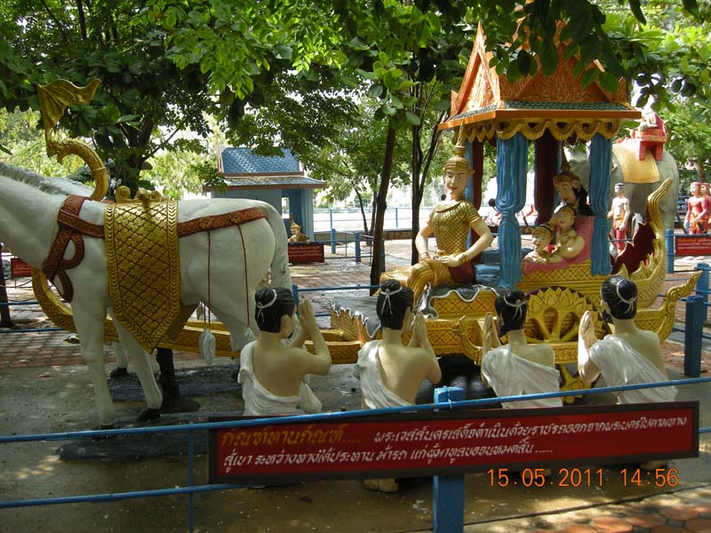 DSCN6772.jpg