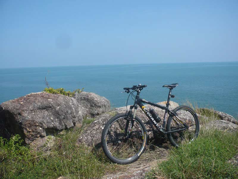 P1050332-1.jpg