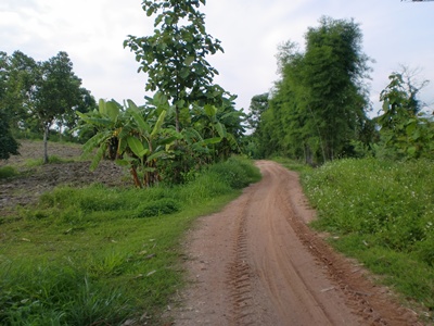 CIMG6702.JPG