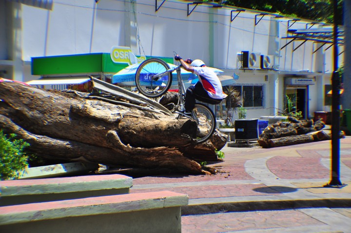 DSC_0160.jpg