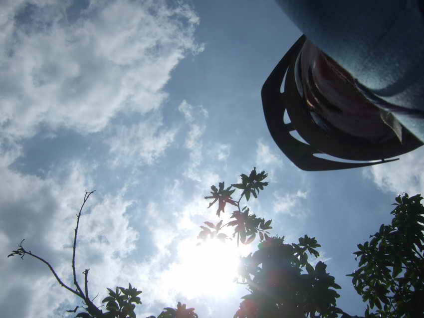 DSCF1222.JPG