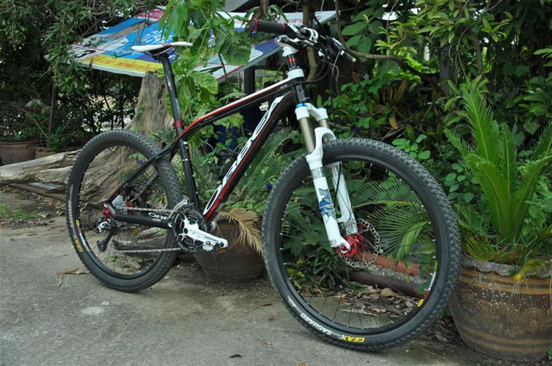 My ORBEA_07 (Medium).JPG