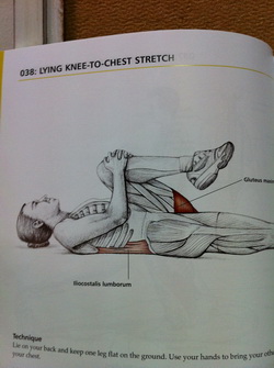 lying back stretch