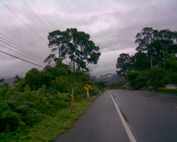 Image203.jpg