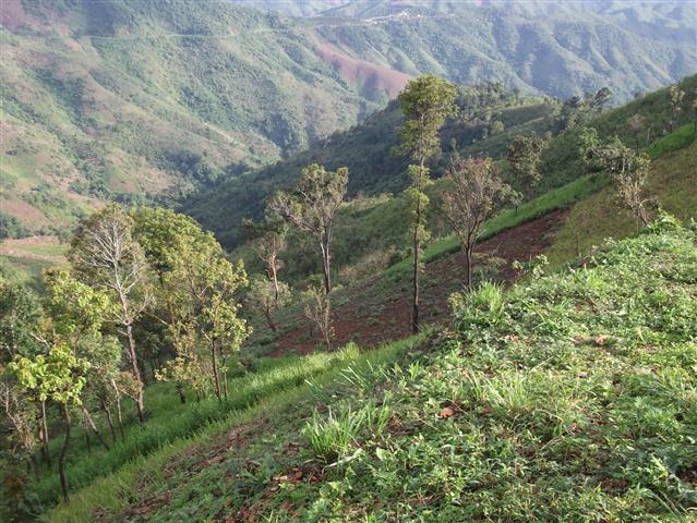 DSCF0513.JPG