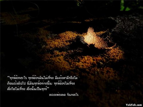หลวงพ่อสด.jpg